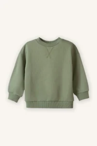 DeFacto Baby Boy Crew Neck Basic Plain Sweatshirt
