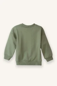 DeFacto Baby Boy Crew Neck Basic Plain Sweatshirt - Image 3