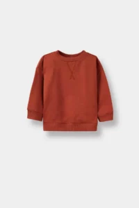 DeFacto Baby Boy Crew Neck Basic Plain Sweatshirt
