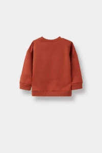 DeFacto Baby Boy Crew Neck Basic Plain Sweatshirt - Image 3