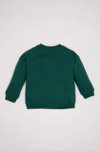 DeFacto Baby Boy Crew Neck Soft Fuzzy Basic Plain Sweatshirt - Image 4