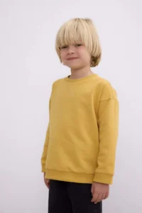 DeFacto Baby Boy Crew Neck Soft Fuzzy Basic Plain Sweatshirt