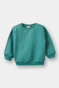 DeFacto Baby Boy Crew Neck Soft Fuzzy Basic Plain Sweatshirt