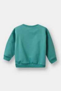 DeFacto Baby Boy Crew Neck Soft Fuzzy Basic Plain Sweatshirt - Image 3