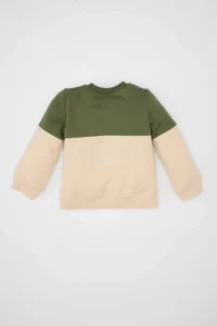DeFacto Baby Boy Crew Neck Color Blocked Soft Lined Sweatshirt - Image 3