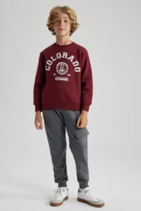 DeFacto Boy's Crew Neck Printed Sweatshirt B0047a823wn - Image 2