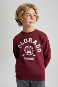 DeFacto Boy's Crew Neck Printed Sweatshirt B0047a823wn - Image 3