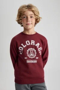 DeFacto Boy's Crew Neck Printed Sweatshirt B0047a823wn - Image 4