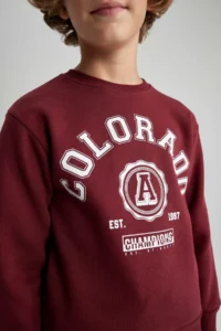 DeFacto Boy's Crew Neck Printed Sweatshirt B0047a823wn - Image 5