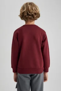 DeFacto Boy's Crew Neck Printed Sweatshirt B0047a823wn - Image 6