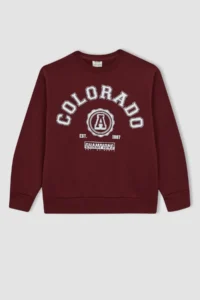 DeFacto Boy's Crew Neck Printed Sweatshirt B0047a823wn - Image 7