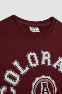 DeFacto Boy's Crew Neck Printed Sweatshirt B0047a823wn - Image 8