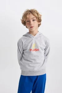 DeFacto Boy's The Flash Hooded Thick Sweatshirt B3589a823wn