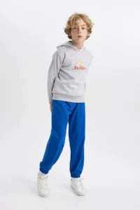 DeFacto Boy's The Flash Hooded Thick Sweatshirt B3589a823wn - Image 2
