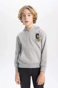 DeFacto Boy's Printed Hooded Sweatshirt