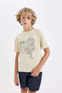 DeFacto Crew Neck Printed Short Sleeve T-Shirt Boy - Image 3