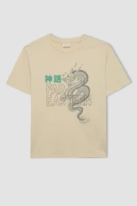 DeFacto Crew Neck Printed Short Sleeve T-Shirt Boy - Image 6