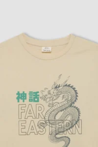 DeFacto Crew Neck Printed Short Sleeve T-Shirt Boy - Image 7