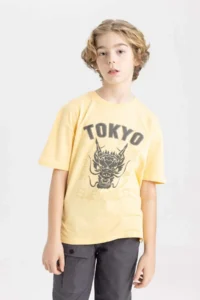 DeFacto Boy's Oversize Wide Fit Crew Neck Printed Short Sleeve T-Shirt - Image 4
