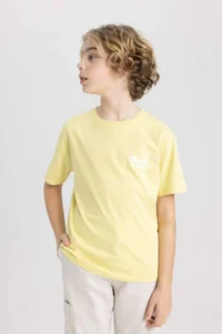 DeFacto Crew Neck Printed Short Sleeve T-Shirt Boy - Image 3