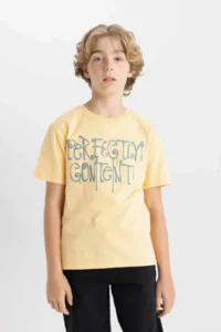 DeFacto Crew Neck Printed Short Sleeve T-Shirt Boy - Image 4