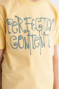DeFacto Crew Neck Printed Short Sleeve T-Shirt Boy - Image 5