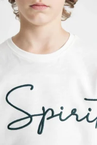 DeFacto Oversize Wide Fit Crew Neck Embroidered Short Sleeve T-Shirt Boy - Image 5