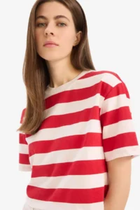 DeFacto Boxy Fit Crew Neck Striped Short Sleeve T-Shirt