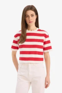 DeFacto Boxy Fit Crew Neck Striped Short Sleeve T-Shirt - Image 3