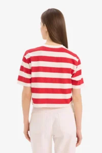 DeFacto Boxy Fit Crew Neck Striped Short Sleeve T-Shirt - Image 5