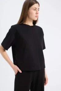DeFacto Relax Fit Crew Neck Basic Plain Short Sleeve Black T-Shirt - Image 4