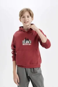 DeFacto Boy's Printed Hooded Kangaroo Pocket Sweatshirt