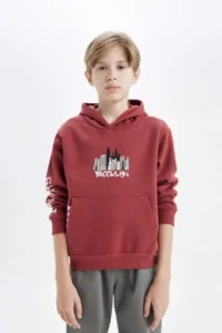 DeFacto Boy's Printed Hooded Kangaroo Pocket Sweatshirt - Image 4
