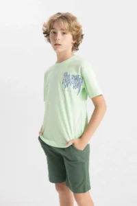 DeFacto Boy's Crew Neck Printed Short Sleeve T-Shirt - Image 3