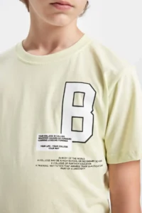DeFacto Crew Neck Printed Short Sleeve T-Shirt Boy - Image 5