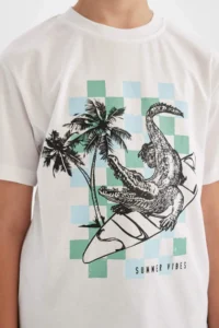 DeFacto Crew Neck Printed Short Sleeve T-Shirt Boy - Image 5