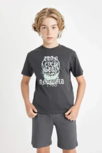 DeFacto Crew Neck Printed Short Sleeve T-Shirt Boy - Image 4