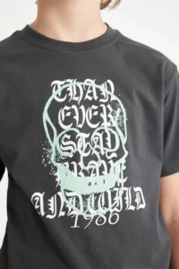 DeFacto Crew Neck Printed Short Sleeve T-Shirt Boy - Image 5