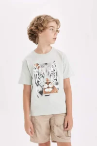 DeFacto Crew Neck Printed Short Sleeve T-Shirt Boy - Image 3