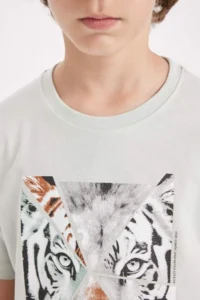DeFacto Crew Neck Printed Short Sleeve T-Shirt Boy - Image 4