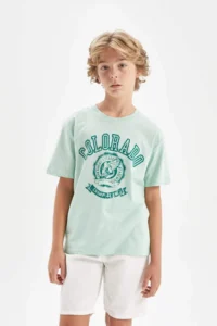 DeFacto Boy's Crew Neck Printed Short Sleeve T-Shirt - Image 3
