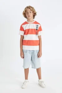 DeFacto Crew Neck Striped Short Sleeve T-Shirt Boy - Image 2