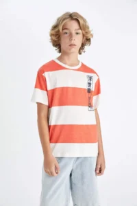 DeFacto Crew Neck Striped Short Sleeve T-Shirt Boy - Image 3