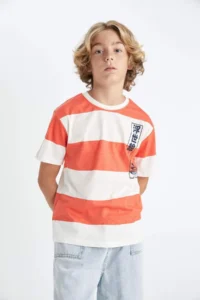 DeFacto Crew Neck Striped Short Sleeve T-Shirt Boy - Image 4