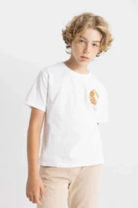 DeFacto Crew Neck Printed Short Sleeve T-Shirt Boy - Image 5