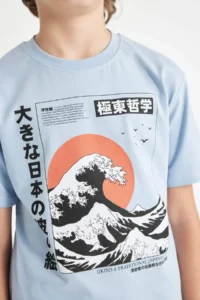 DeFacto Crew Neck Printed Short Sleeve T-Shirt Boy - Image 5