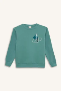 DeFacto Boy's Crew Neck Printed Sweatshirt - Image 7