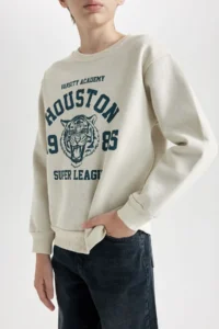 DeFacto Boy's Crew Neck Printed Sweatshirt D3030a824wn - Image 4