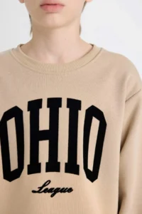 DeFacto Crew Neck Printed Sweatshirt Boy - Image 5