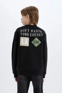 DeFacto Crew Neck Back Printed Sweatshirt Boy